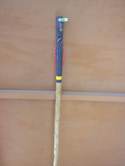 HIKING/WALKING STICK MADE FROM NEW MEXICO YUCCA PLANT FLOWER STALK NUMBER 34