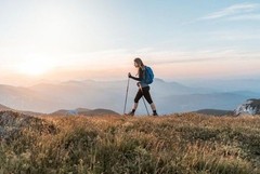 Camping, Trekking Poles, 2 Pack