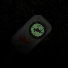 Sun Company Wildlife Compass for Kids – Children’s Compass