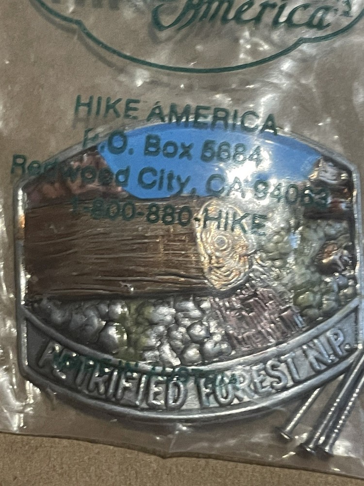Petrified Forest National Park – Boy Scout Hiking Stick Medallion – Vintage Rare