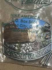 Petrified Forest National Park – Boy Scout Hiking Stick Medallion – Vintage Rare