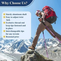 2x Trekking Poles Nordic Walking Hiking Sticks Anti-shock Adjustable Alpenstock