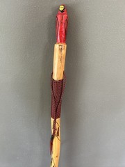 Hiking Stick with carved cardinal carved top- 50”-, paracord grip/wrist strap