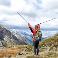 Pair of 2 Trekking Poles Telescopic Walking Hiking Sticks Adjustable Alpenstock