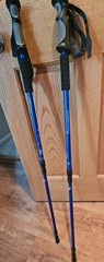 1 Pair (2 Poles) Anti Shock, Adjustable, Collapsible Hiking Poles