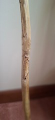 Hand made Viking one of a kind walking, hiking stick