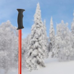 Trekking Rod Handle, Cane Handle Replacement Monopod Handle Nonslip Antishock