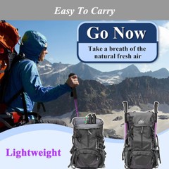 2X Trekking Poles Nordic Hiking Walking Sticks Adjustable Anti-shock Alpenstock