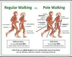 New Keenfit BLUE 2-Piece Fitness Exercise Assisting Walking Poles
