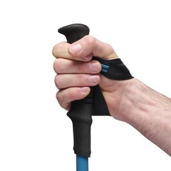 On Sale Auth Black Diamond Distance Carbon FLZ Trekking Poles – Pair, for Hiking