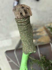 Handmade Neon Green Hiking Stick With Glow In the Dark Star And Green Rope