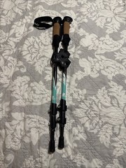 TrailBuddy Trekking Poles – Lightweight, Collapsible Hiking Poles