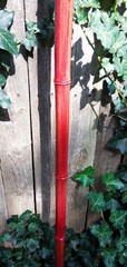 65″ – Bamboo – Walking Hiking Trekking Stick/Staff – Paracord Grip & Strap – #55