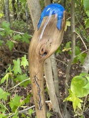 Walking Stick Fractal Lichtenberg With Epoxy Burl Top Handmade & Finished