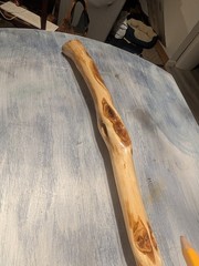 50″ – Hand Carved Diamond Willow – Finished with apoxy – Hiking /Walking Stick