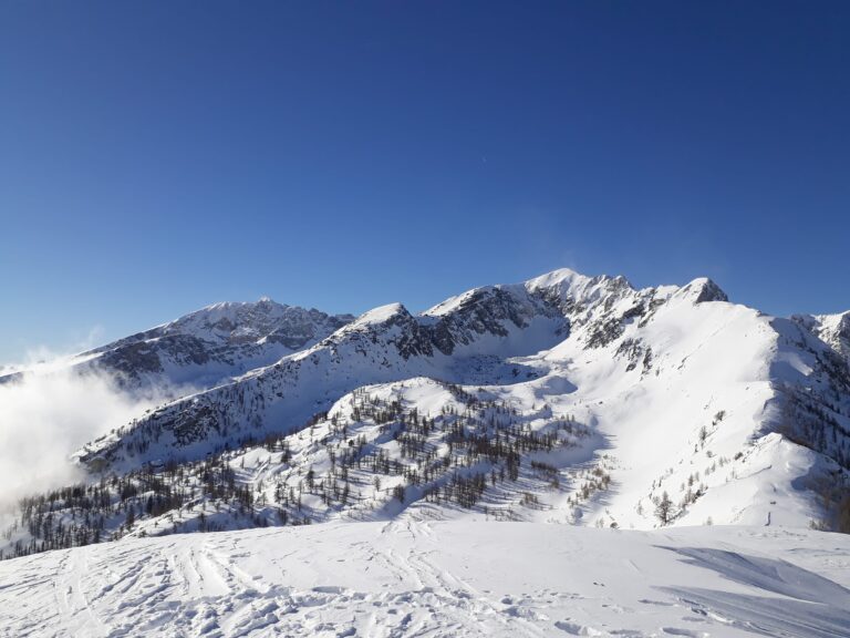 26905989_1700201863360017_857064230_o