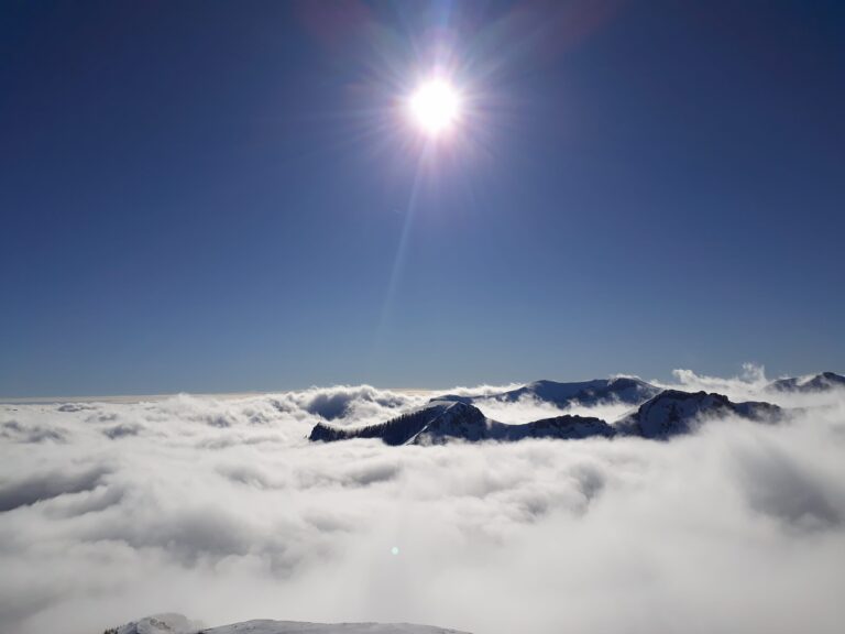 26906430_1700202126693324_1532879748_o