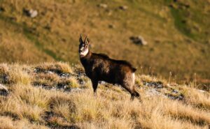 WhatsApp Image 2025-12-04 at 23.13.38