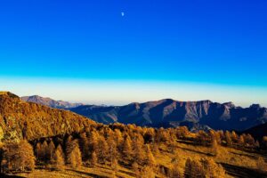 WhatsApp Image 2025-12-04 at 23.17.19